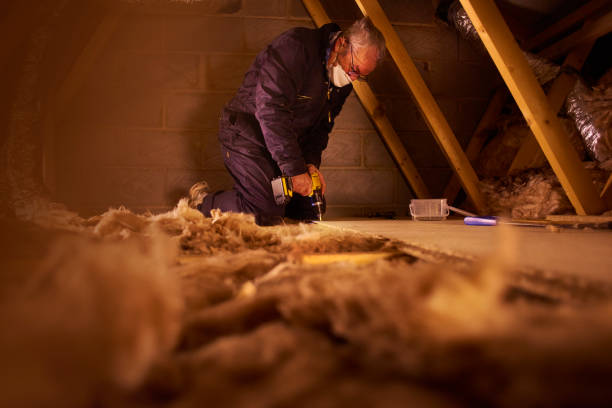 Best Insulation for New Construction  in Carrier Mls, IL